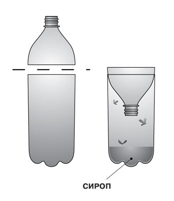 Надежная ловушка для мышей из пластиковой бутылки
