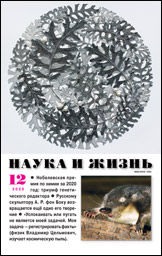 Обложка журнала «Наука и жизнь» №12 за 2020 г.