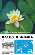 Обложка журнала «Наука и жизнь» №7 за 2000 г.