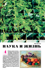 Обложка журнала «Наука и жизнь» №4 за 1998 г.