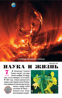 Обложка журнала «Наука и жизнь» №7 за 2006 г.