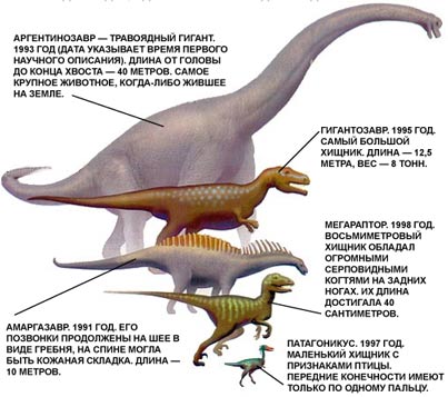 «Травоядный динозавр» скачать раскраски