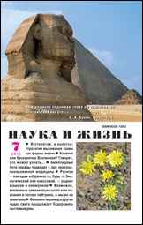 Обложка журнала «Наука и жизнь» №7 за 2011 г.