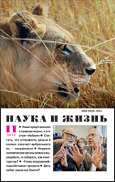 Обложка журнала «Наука и жизнь» №11 за 2013 г.
