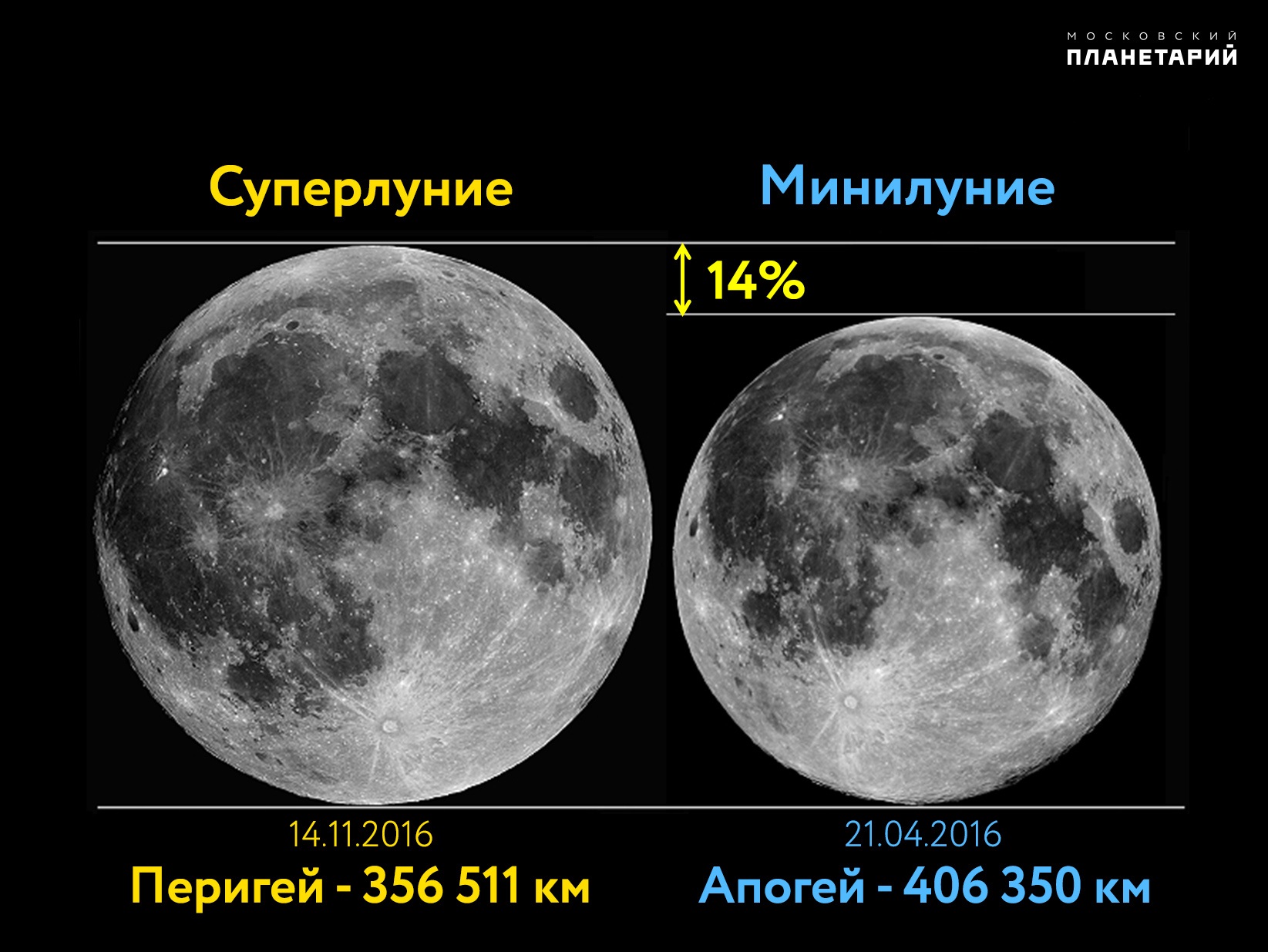 Готовьте бинокли: самая большая Луна появится на небе в ночь с 30 на 31 августа