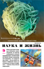 Обложка журнала «Наука и жизнь» №9 за 2000 г.