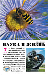 Обложка журнала «Наука и жизнь» №7 за 2010 г.