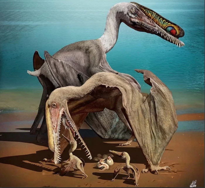 Птерозавры могли заботиться о своих «птенцах» | Наука и жизнь