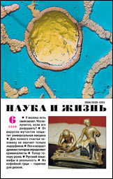 Обложка журнала «Наука и жизнь» №6 за 2009 г.