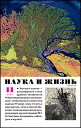 Обложка журнала «Наука и жизнь» №11 за 2022 г.