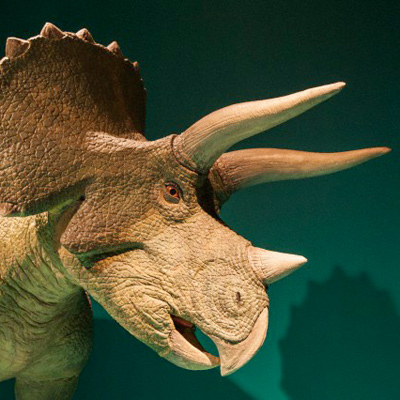Динозавры начали вымирать раньше, чем мы думали