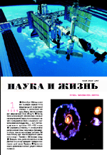 Обложка журнала «Наука и жизнь» №1 за 1999 г.