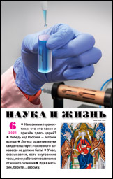 Обложка журнала «Наука и жизнь» №06 за 2021 г.