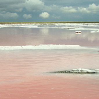 Микробы из сибирского озера любят соль и производят метан
