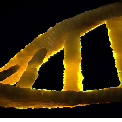 Почему РНК проиграла ДНК «спор за наследство»