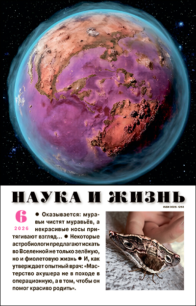 Перейти к оглавлению Обложка журнала «Наука и жизнь» №06 за 2026 г.