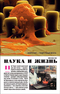 Обложка журнала «Наука и жизнь» №11 за 2005 г.