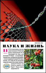 Обложка журнала «Наука и жизнь» №11 за 2010 г.