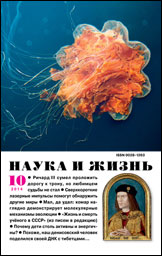 Обложка журнала «Наука и жизнь» №10 за 2014 г.