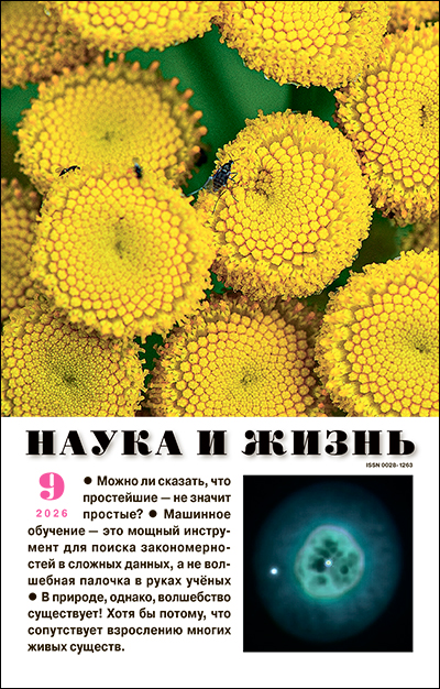 Перейти к оглавлению Обложка журнала «Наука и жизнь» №09 за 2026 г.