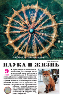 Обложка журнала «Наука и жизнь» №9 за 2008 г.