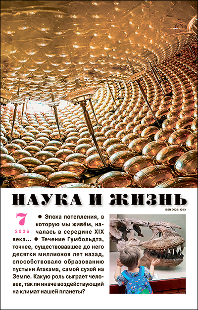 Обложка журнала «Наука и жизнь» №07 за 2026 г.