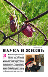 Обложка журнала «Наука и жизнь» №8 за 2012 г.