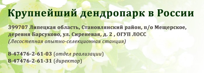 dendropark2.jpg dendropark2.jpg