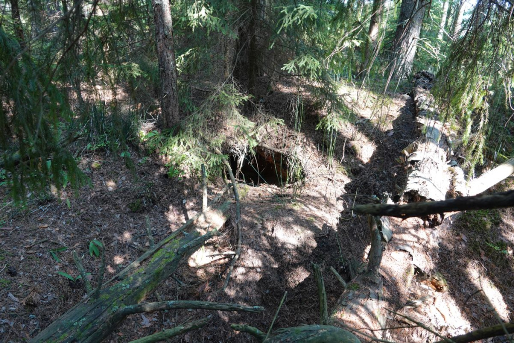 Берлога в угольной яме1б.jpg