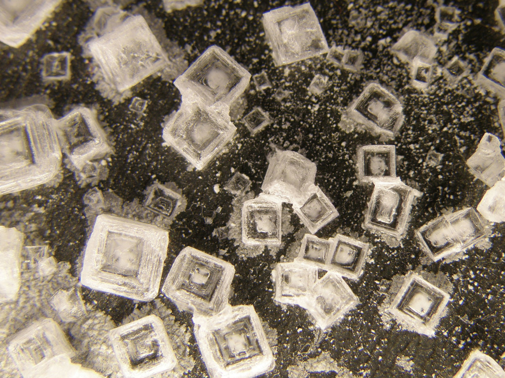 Кристаллы «обычной» соли или хлорида натрия. Фото: Rob/Flickr.com