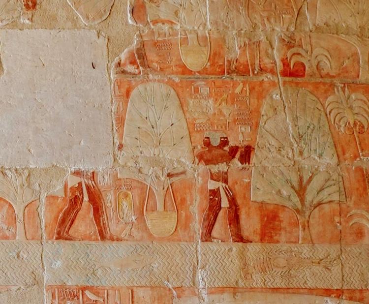 05_2_Incense_trees_transport._Punt_relief._Mortuary_Temple_of_Hatshepsut,_Deir_el-Bahari_low.jpg