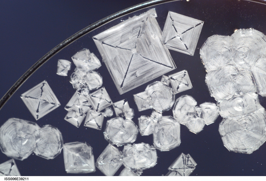 Кристаллы хлорида натрия, выращенные на Международной космической станции. Фото: Nasa/Flickr.com 