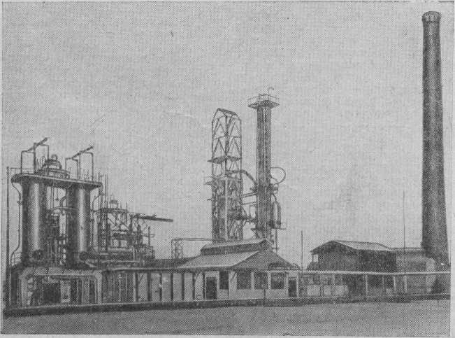 19410735foto.jpg