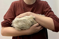 Объятия страха