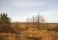 "УЖ НЕБО ОСЕНЬЮ ДЫШАЛО..."