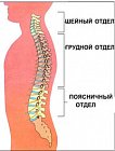 Если болит поясница