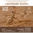Выставка «Живой мир» в Зоологическом музее РАН (Санкт-Петербург)