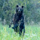 Сон в снежную ночь