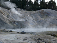 Горячие амёбы