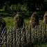 Фестиваль «Петроглиф» путешествует по Журавлиной реке…