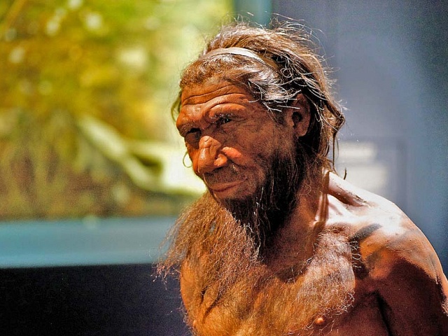 Неандертальцы вымерли из-за «африканских» болезней? | Наука и жизнь
