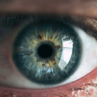 Удивительная биология – 2025