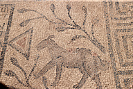 На юго-востоке Турции нашли «христианскую» мозаику с животными