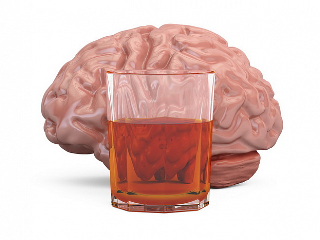 Мозг алкоголика и здорового человека 38 фотографий