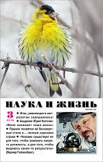 Рыбий жир помогает при лечении шизофрении