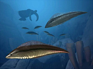 Четырёхглазые хордовые