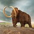 Доисторических гигантских зверей истребили люди