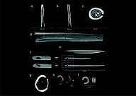 Археологи заглянули внутрь неолитических игольников